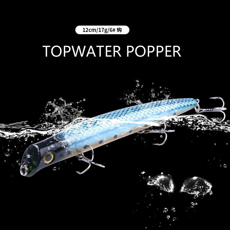 Leurre flottant Popper pour la - Fishing Lure Topwater avis et prix
